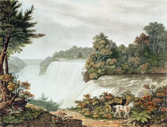 Niagarafälle, von Goat Island aus gesehen